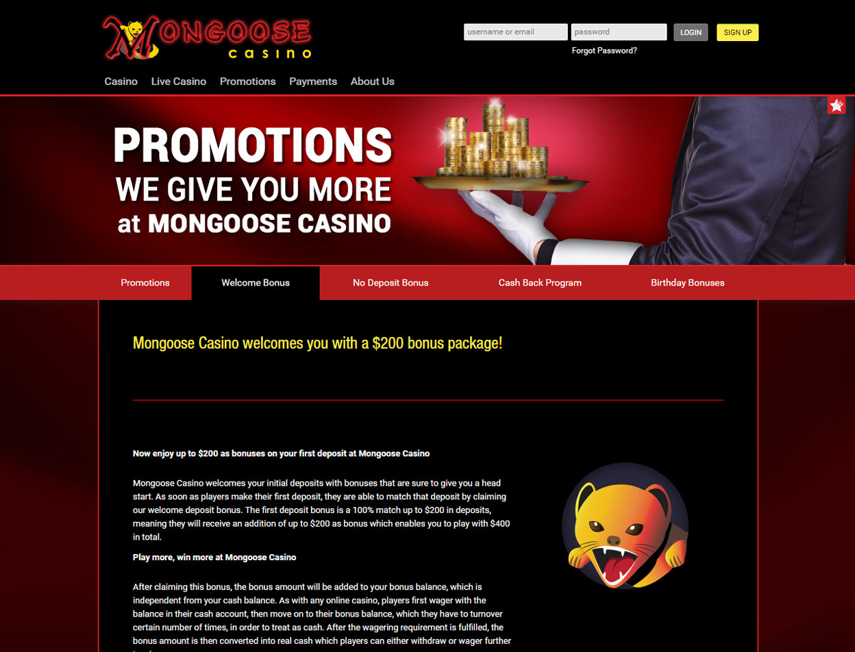 Mongoose Casino3