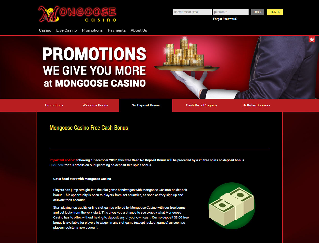 Mongoose Casino4