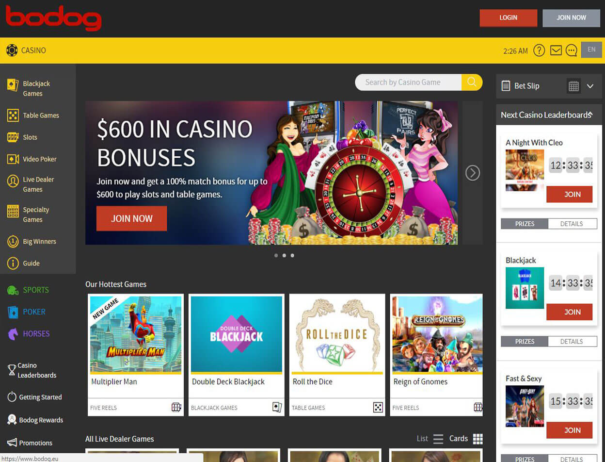 Bodog Casino Screenshot 3