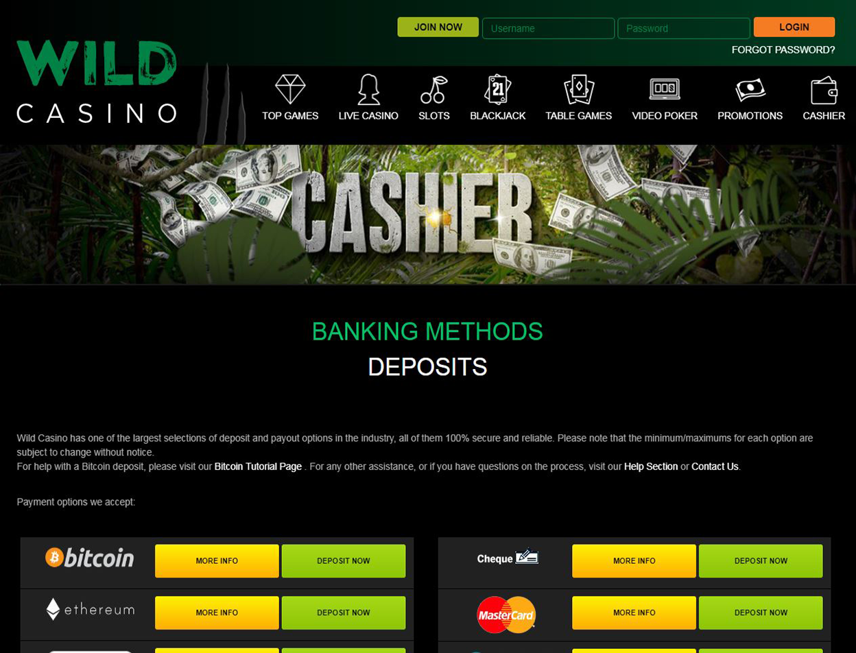 Wild Casino Screenshot 4